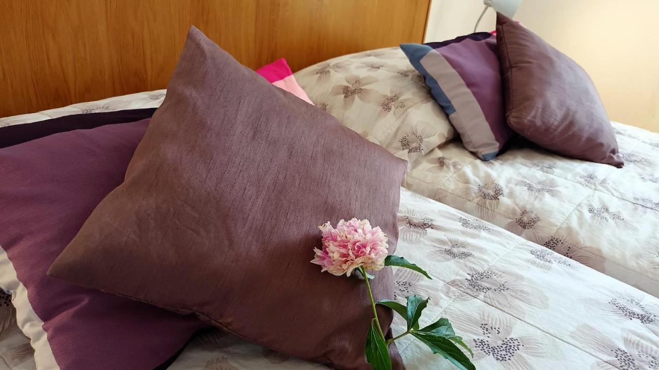 apartmani DIMIĆ Supetar Bagian luar foto